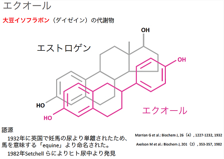 エクオールは大豆イソフラボン（ダイゼイン）の代謝物。語源は1932年に英国で妊馬の尿より単離されたため、馬を意味する「equine」より命名された。1982年Swthellらによりヒト尿中より発見。